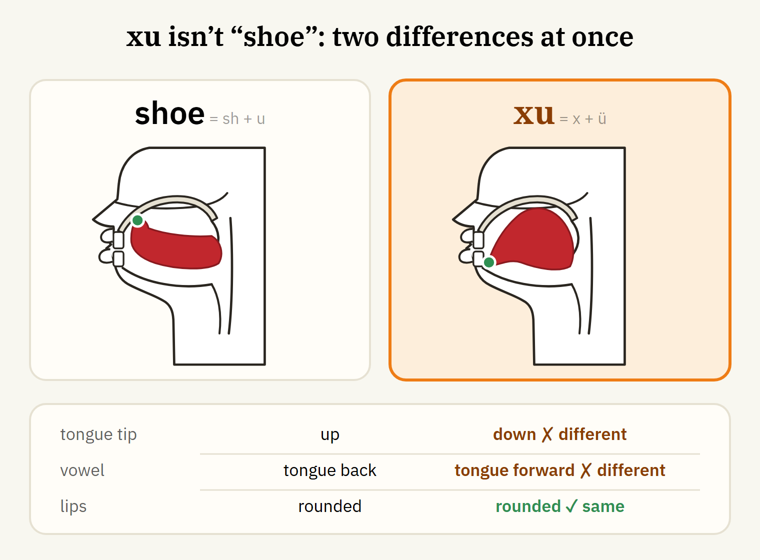 English shoe and Chinese xu: different consonants and vowels
