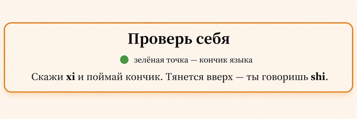 Проверьте себя: зелёная точка – кончик языка, скажите xi