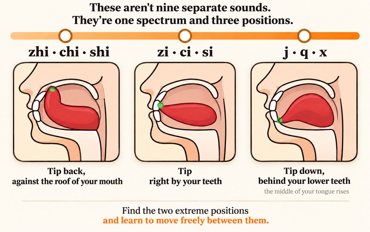 The zh ch sh, z c s, j q x spectrum: three positions of the tongue tip