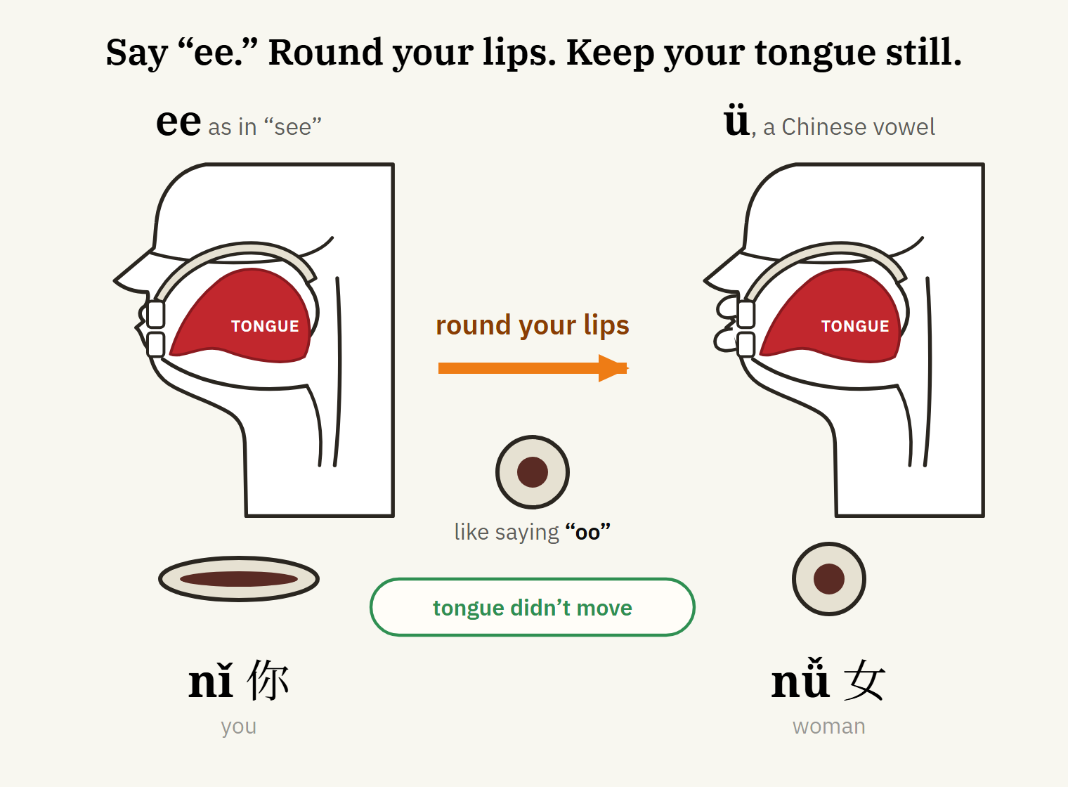 How to say ü: tongue positioned for i, lips shaped for u