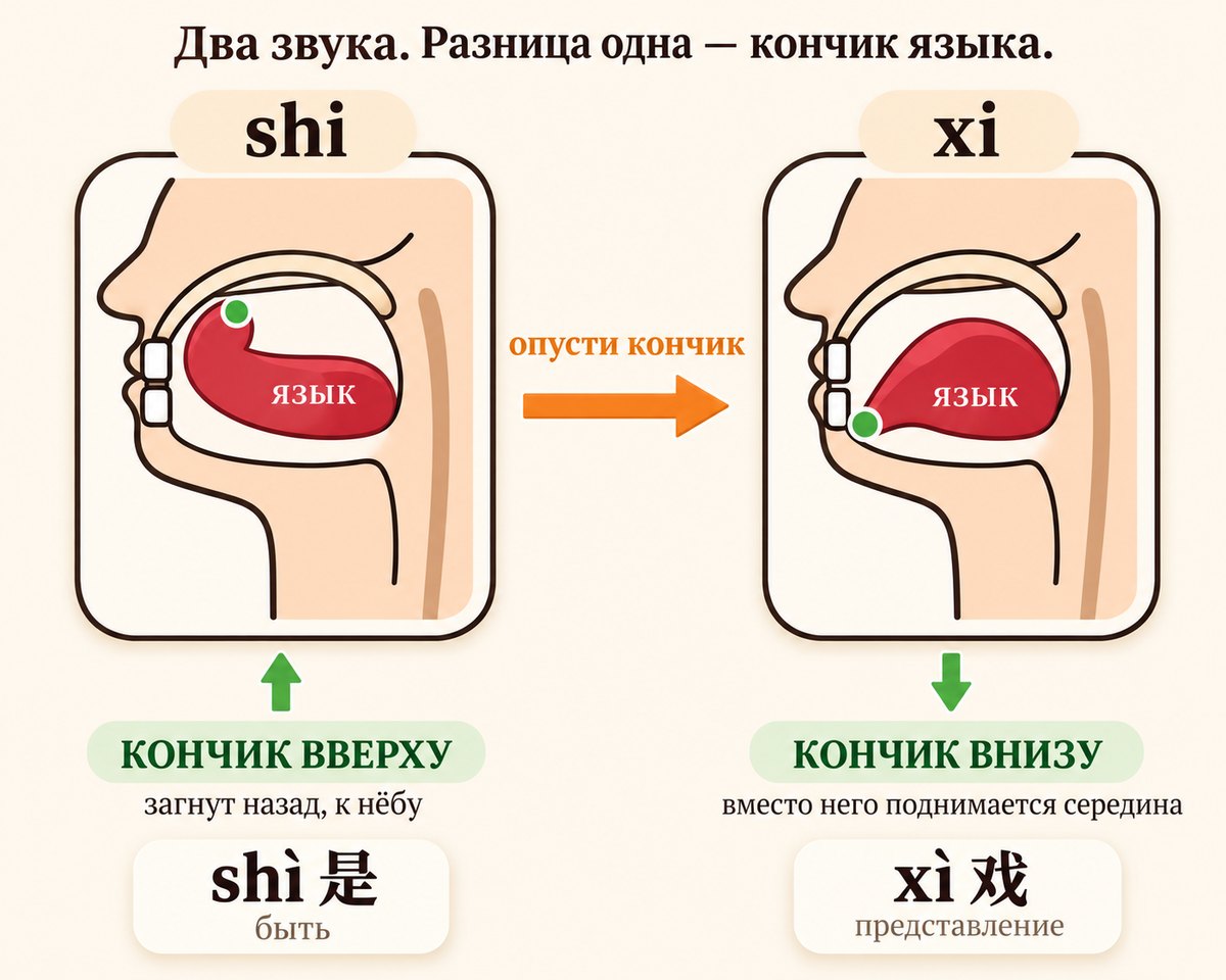 shi и xi: кончик языка вверху и внизу