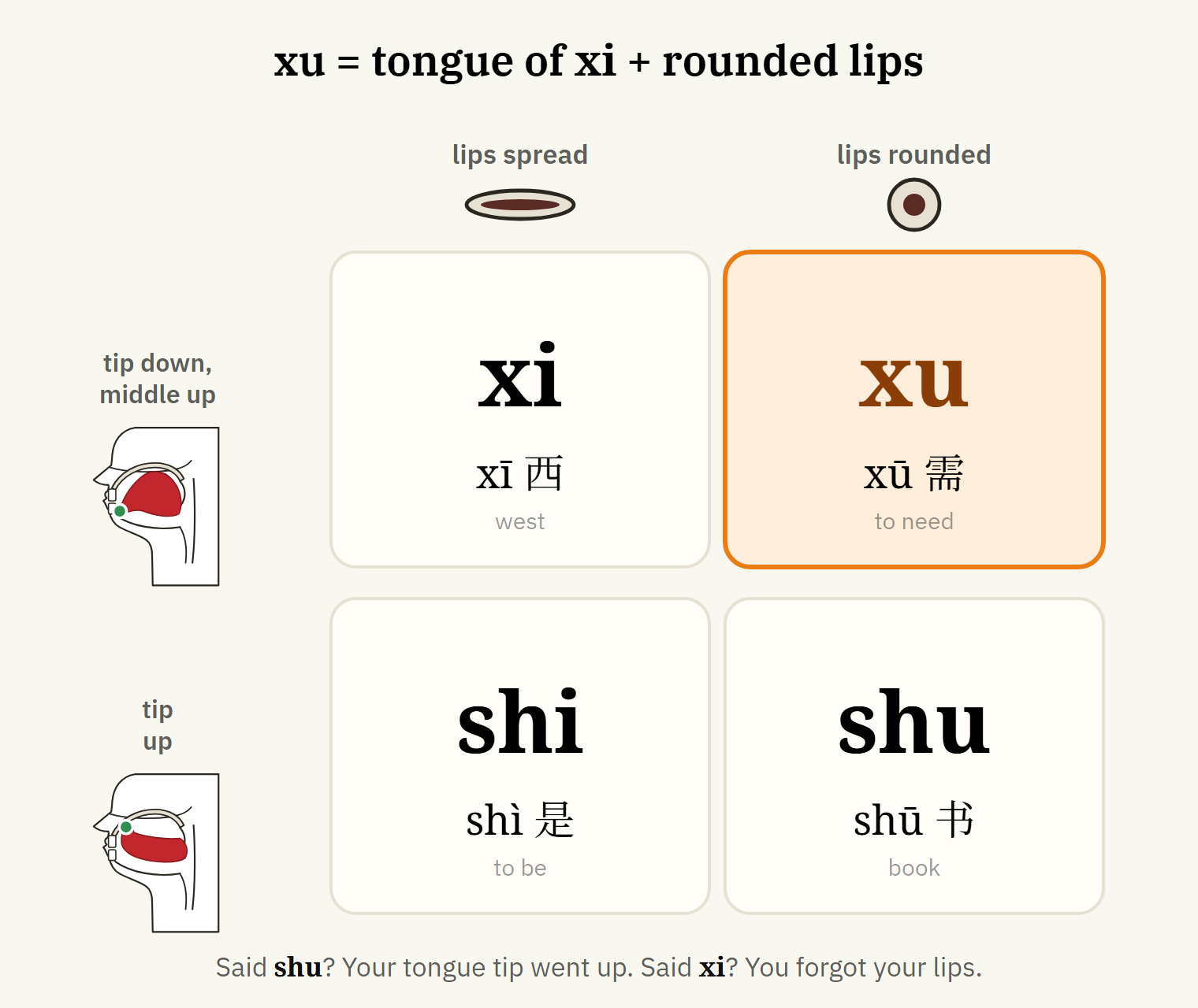 The syllable xu: tongue positioned for xi, lips rounded and pushed forward